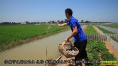 [ũ�����]ѭ��ũҵ��Ч�� ��̬�����ɹ�����չʾ