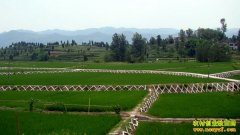 �ӱ��̰��߱�׼ũ���ˮ����Ч��ũ����