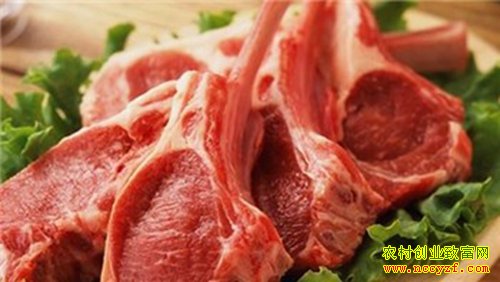 ţ����۸����ƣ�ţ����۸��ߵ� δ���ᱣ��ƽ��̬��