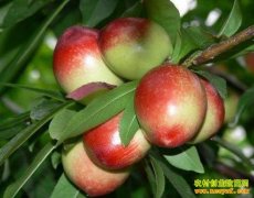 2016������׬Ǯ�𣺽������Ҽ۸񲻸���׬Ǯ