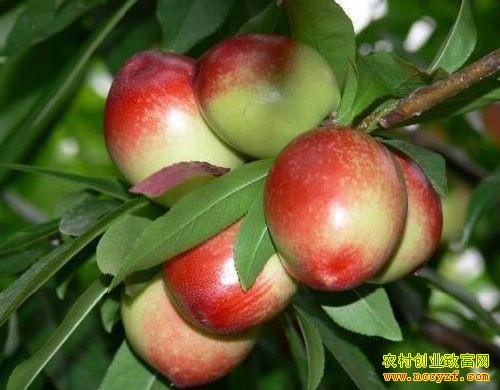 2016������׬Ǯ�𣺽������Ҽ۸񲻸���׬Ǯ