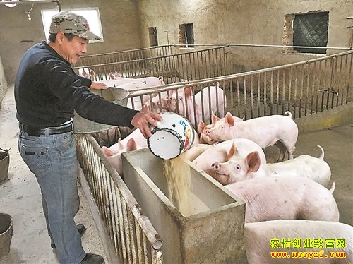 ���϶�ɽʩ��������־�ᴴҵ������ƶ�¸�