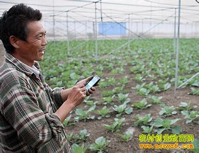 [�۽���ũ]���ֻ���Ϊũ�񷢼��¸��ĺð���