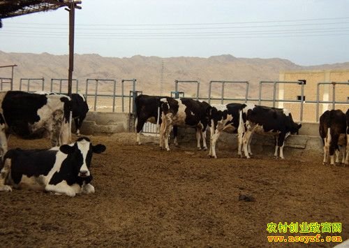 [ũ�����]��ţ���ļ���������