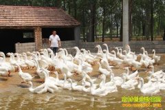 [ÿ��ũ��]����׬Ǯ����ֳ������Ӷ�׬Ǯ����