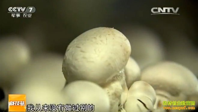 [�Ƽ�Է]�����𺳵�Ģ������