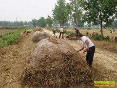 �������¶ѷʣ����¶ѷʼ���Ҫ��