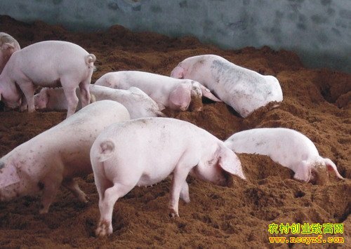 �ļ���������Ϊ�����棿