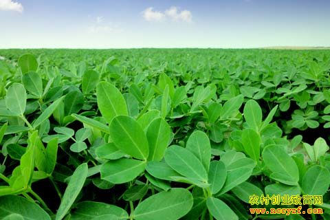 ��������ǰ׷�ʲ�����