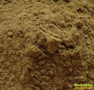 �����������Ƿ����