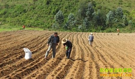 ɳ��������ʩ��Ч���