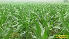 ������ʩ�ʷ������������������ʩ��