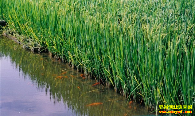 ����̩��90�����ƽ��ֳ������ʵ���¸���