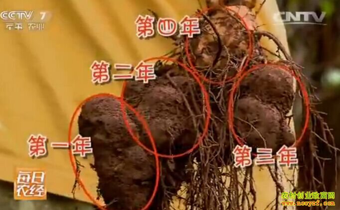 [ÿ��ũ��]���»ƾ�׬���ƽ�