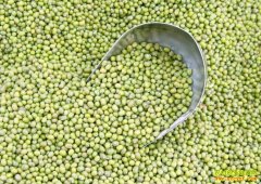 绿豆价格多少钱一斤:天热绿豆价格上涨