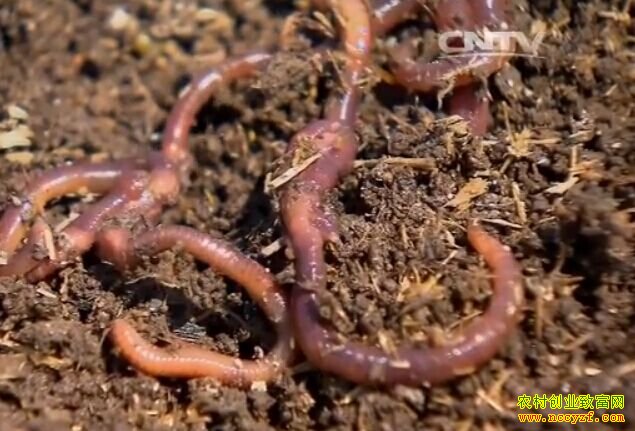 [ÿ��ũ��]�����������