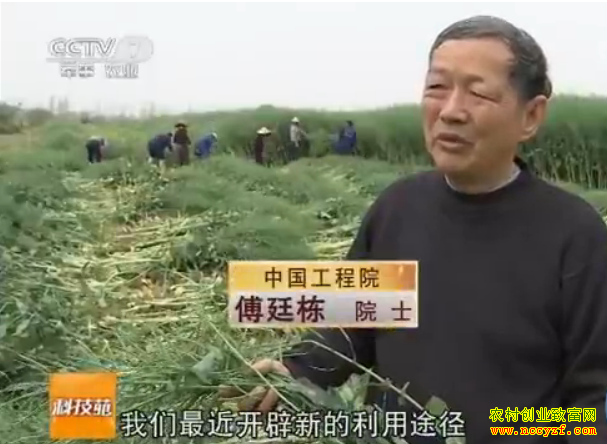 [�Ƽ�Է]���Ͳ˲�ե�� Ϊ�İ�