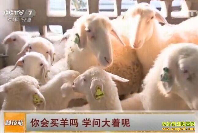 [�Ƽ�Է]��������� ѧ�ʴ�����