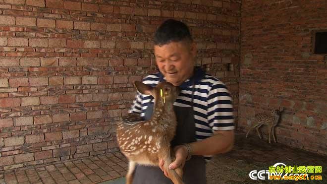 [�¸���]�������������ֳ÷��¹��ҵ�¸�