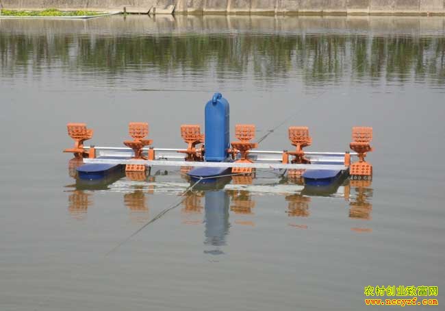 �ļ����¼�����������