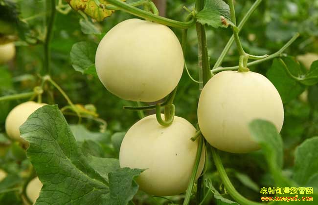 [ũ�����]������ġ��֡����ࡱ����