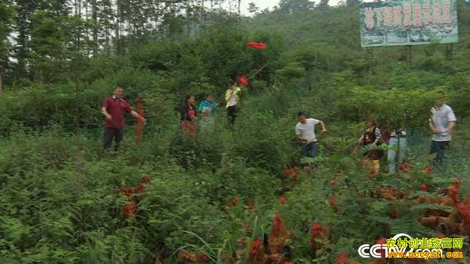 [�¸���]�Ĵ�������������������3000����Ԫ