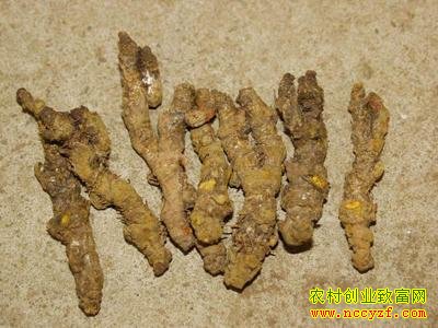 �����г�����������������������۸�����