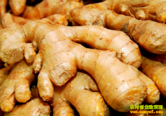 2016年下半年生姜价格行情走势怎样