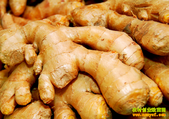 2016���°��������۸�������������