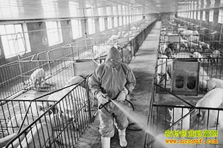 ��������Ʒ���������÷�