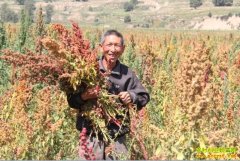 [ũ�����]޼�����༼����Ƶ