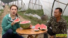 [ÿ��ũ��]������ɽ���������ر��������