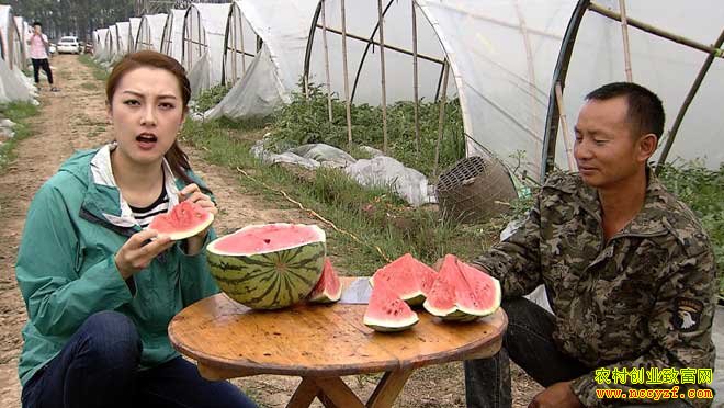 [ÿ��ũ��]������ɽ���������ر��������