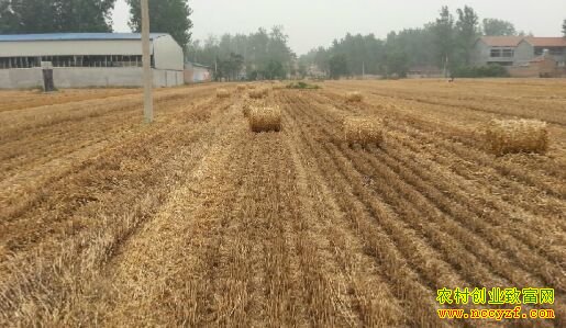 �������:�ոѱ��Ϊ�������Ϻ�����Ч���