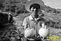 ������������ֲ���Ϲ�����10�����ũ���¸�����Ŀ