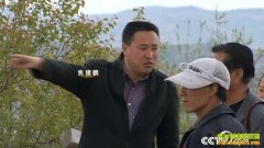 [�¸���]��������������������﷢�ֵĲƸ�