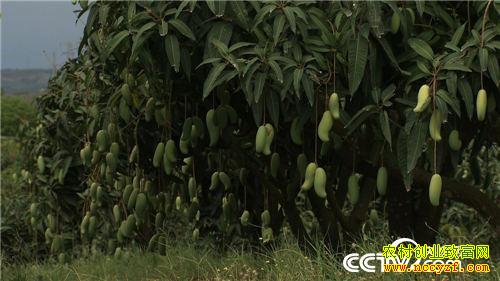 ׬Ǯ����ʧ�ֺ�Ĵ���