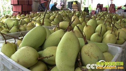 ׬Ǯ����ʧ�ֺ�Ĵ���