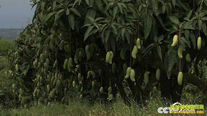 [�¸���]׬Ǯ�����｡ʧ�ֺ��â���Ƹ�����