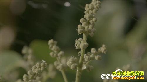 ׬Ǯ����ʧ�ֺ�Ĵ���