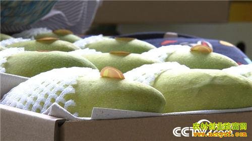 ׬Ǯ����ʧ�ֺ�Ĵ���