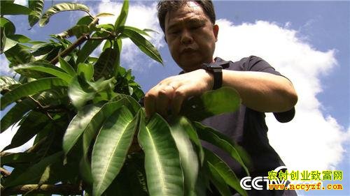 ׬Ǯ����ʧ�ֺ�Ĵ���