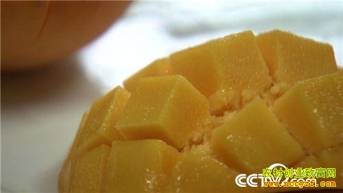 ׬Ǯ����ʧ�ֺ�Ĵ���