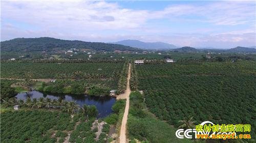 ׬Ǯ����ʧ�ֺ�Ĵ���