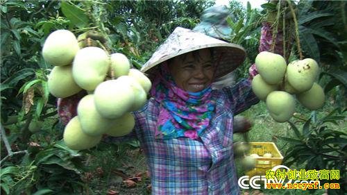 ׬Ǯ����ʧ�ֺ�Ĵ���