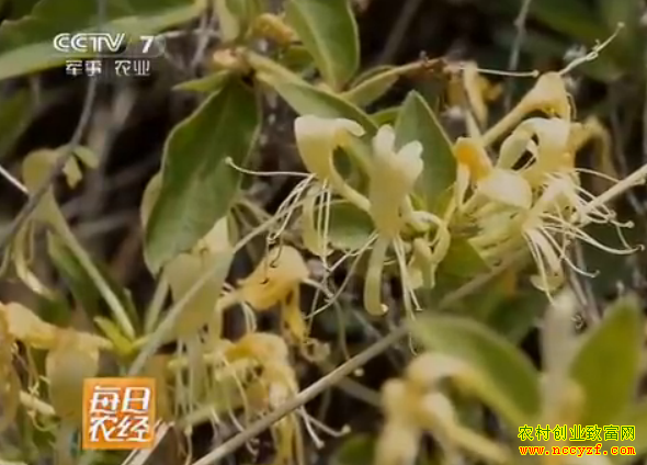 [ÿ��ũ��]�����������Ļ��������𡱺͡�����