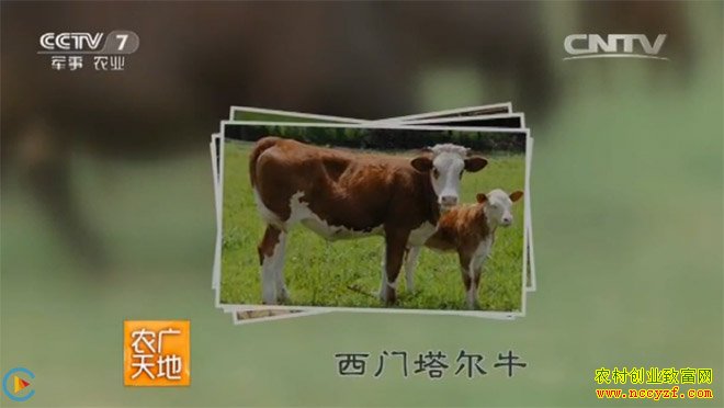 [ũ�����]������ţ����Ʒ��