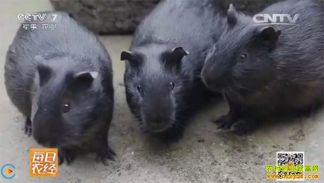 [ÿ��ũ��]�����֡������Ǻ���