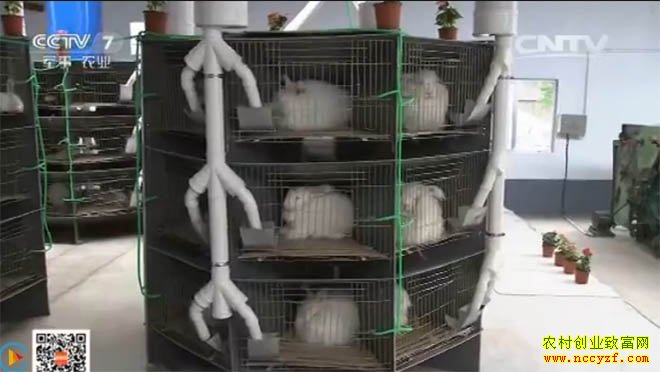 [�Ƽ�Է]���۽�(2)��ֳ����