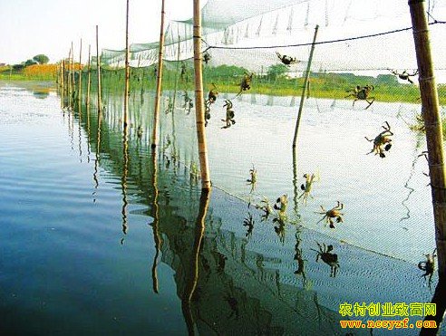 [ũ�����]��з��ֳ����20160710